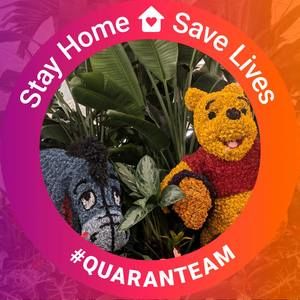 Meet your Posher, Rosa